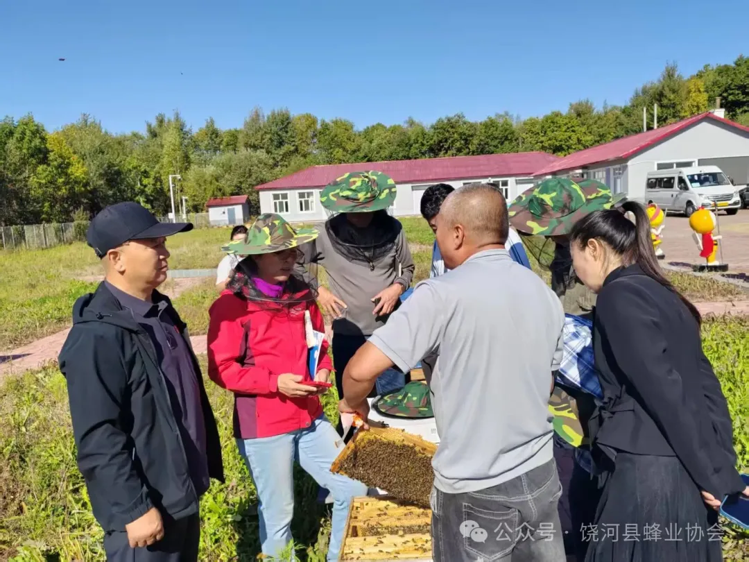 陈家明蜂场调研
