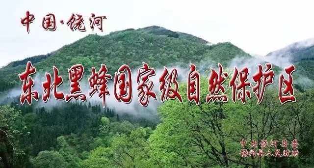 养蜂海报 6